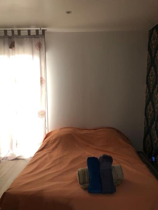 Logement Entier Entree Autonome Ch,Sdd,Cs Privatives Aussonne Ngoại thất bức ảnh